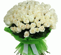 101 Голландська біла троянда 70 см