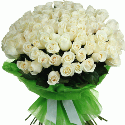 101 Голландская белая роза 70 см