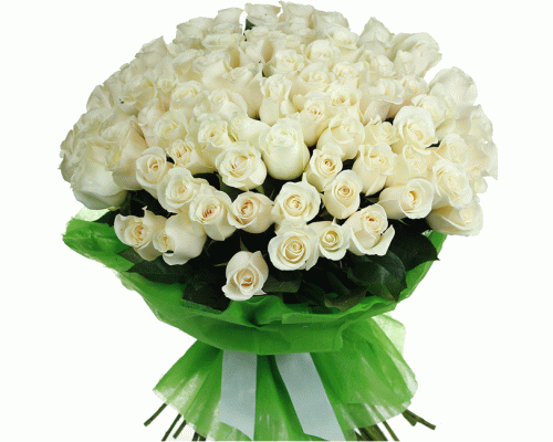 101 Голландська біла троянда 70 см
