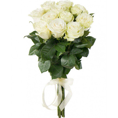 11 white Holland roses 70 cm