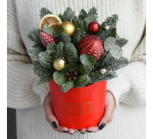 New Year's composition in a box