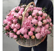 151 peonies in a basket