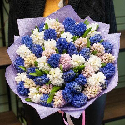 51 різнокольоровий гіацинт в упакуванні