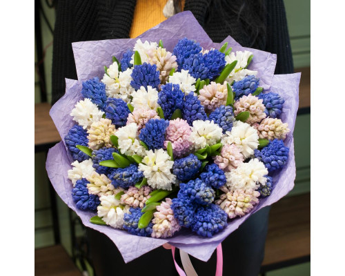 51 різнокольоровий гіацинт в упакуванні