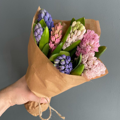 Букет з 7 гіацинтів в упакуванні