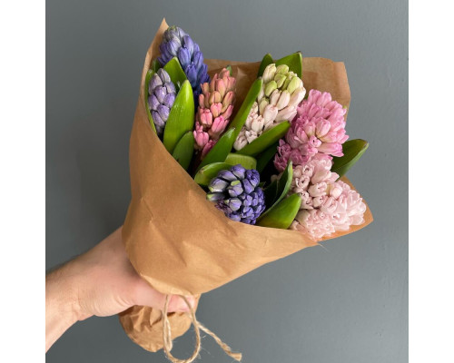 Букет з 7 гіацинтів в упакуванні