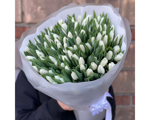 101 white tulips