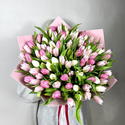 101 рожевий та білий тюльпан
