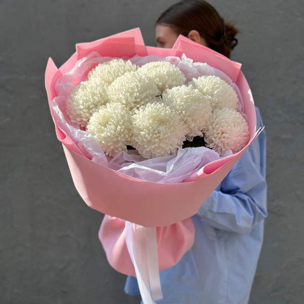 Fluffy cloud of round chrysanthemums