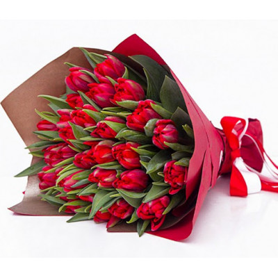 25 червоних тюльпанів в упаковці