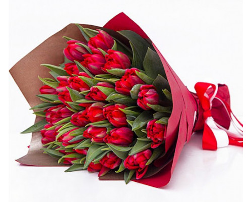 25 красных тюльпанов в упаковке