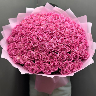 101 Rose Aqua