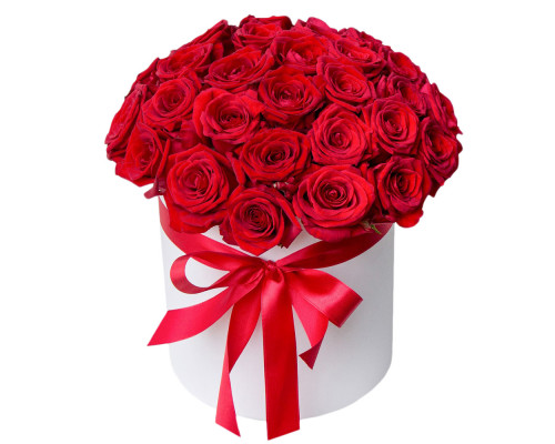 35 red roses in box