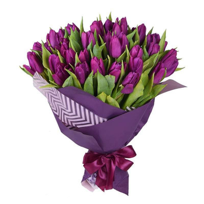 45 purple tulips