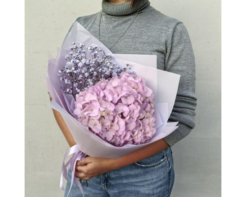 Bouquet of hydrangea and gypsophila Bouquet of hydrangea and gypsophila