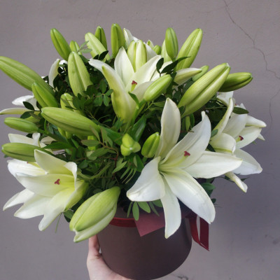 7 lilies in a box