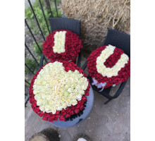 Box of roses 450 pcs I Love You