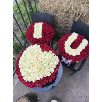 Коробка с розами 450 шт I Love You