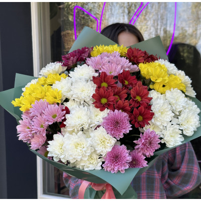 15 colorful chrysanthemums