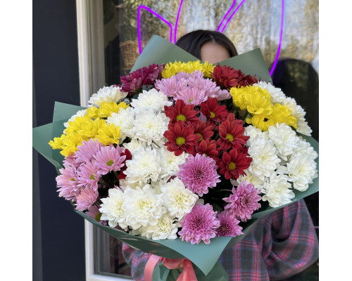 15 colorful chrysanthemums