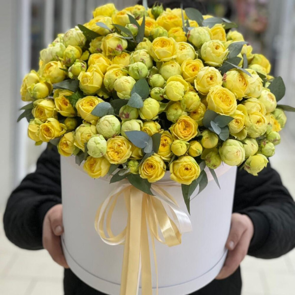 Півоноподібна троянда в коробці