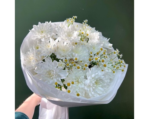 Chamomile and chrysanthemums Chamomile and chrysanthemums