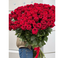 101 roses 1 meter