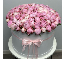 101 peonies in a box