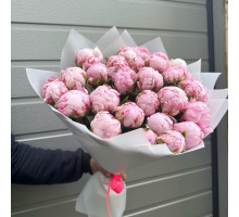 29 розовых пионов