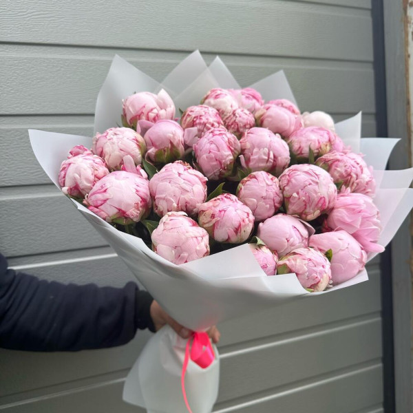 29 рожевих піонів