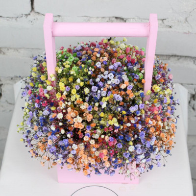 Composition of rainbow gypsophila in a box